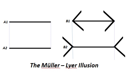 Muller Lyer Illusion.jpg