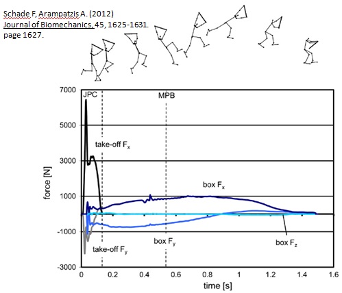 Arampatzis and Schade  study of Jagodin Exercise.jpg