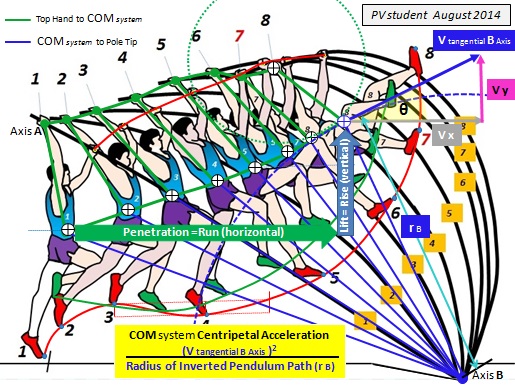 Run to rise ratio in 1st phase of pole support of the total system COM..jpg