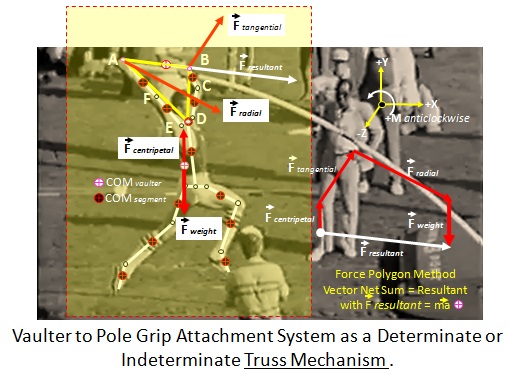 Vaulter upper limbs body segmental truss structure mechanism 2.jpg