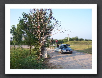 100_6456